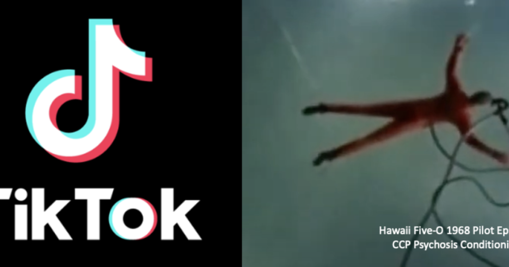 TikTok is a Tailor-made, Mass Psychosis Supply Platform | The Gateway Pundit